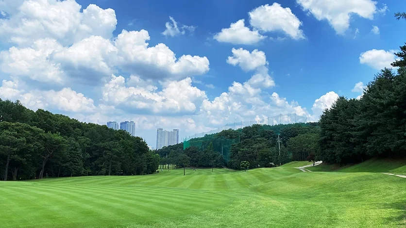 1.2.3 CC 이미지 3