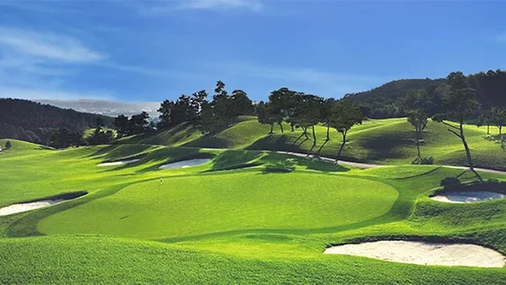 한림용인 CC 이미지 3