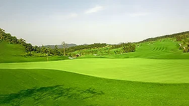 함평엘리체 CC 이미지 2