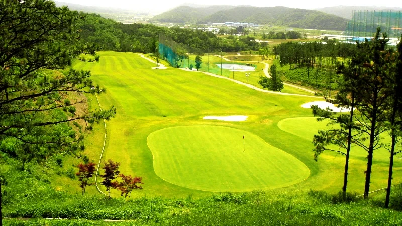 충성대 이미지 5