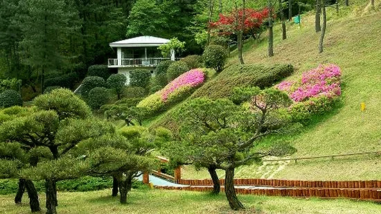 울산 CC 이미지 1