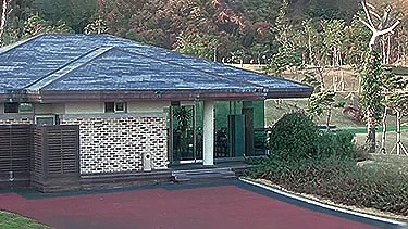 보라 CC 이미지 3
