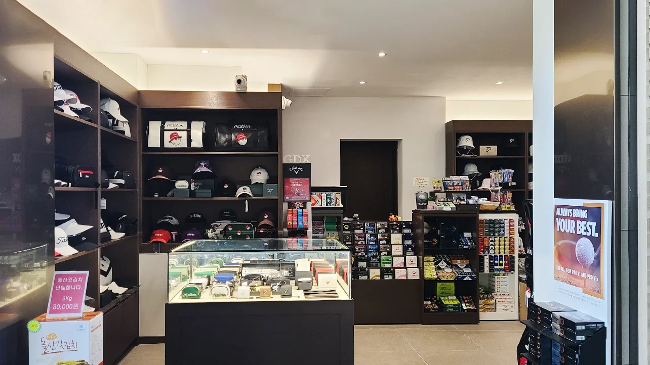 포라이즌 CC 이미지 8